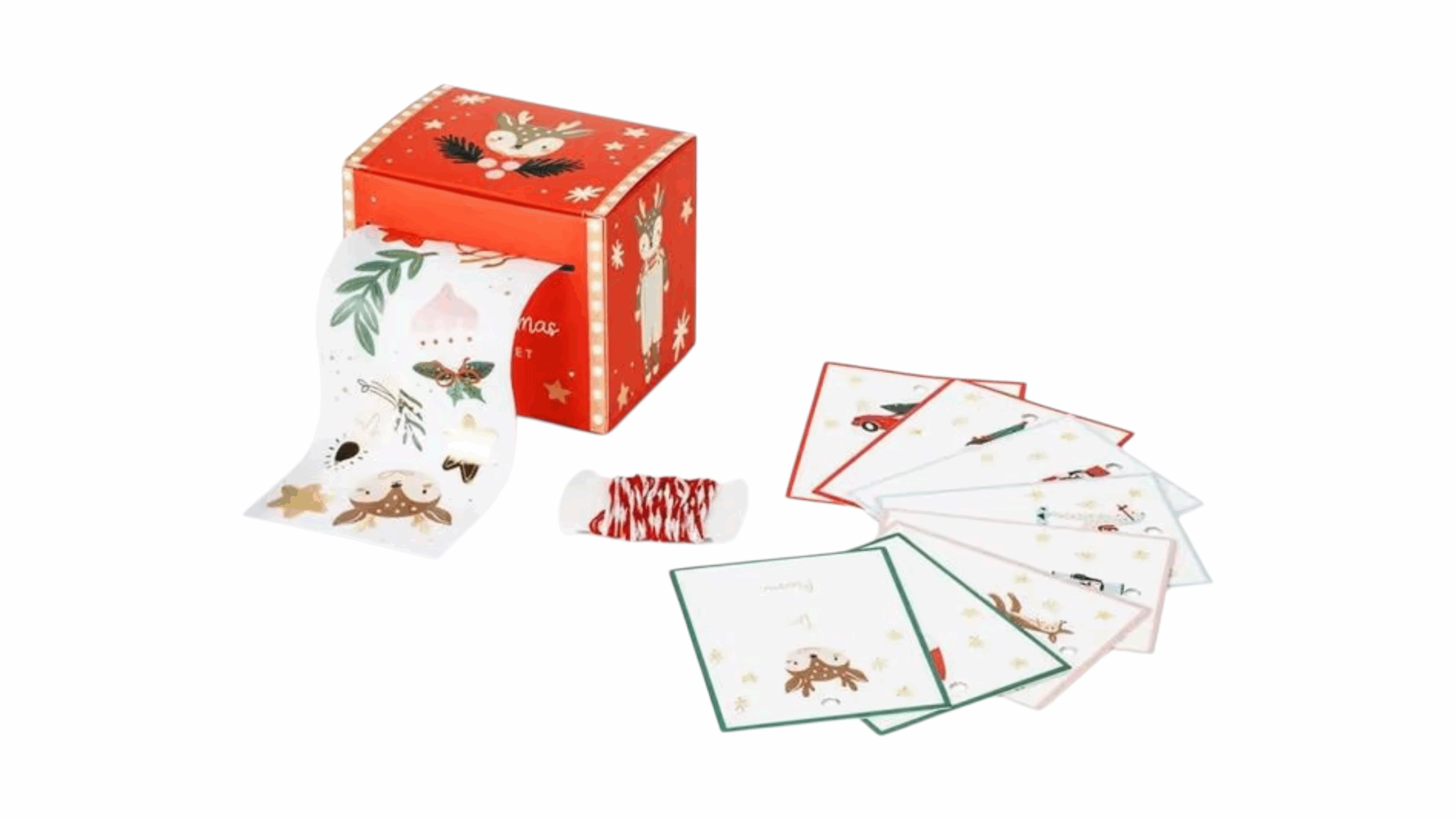 691311c9677b2ab06a1d0395