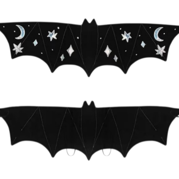 Bat Wings Costume – Black with Silver Details (3-7 years) 🦇✨
