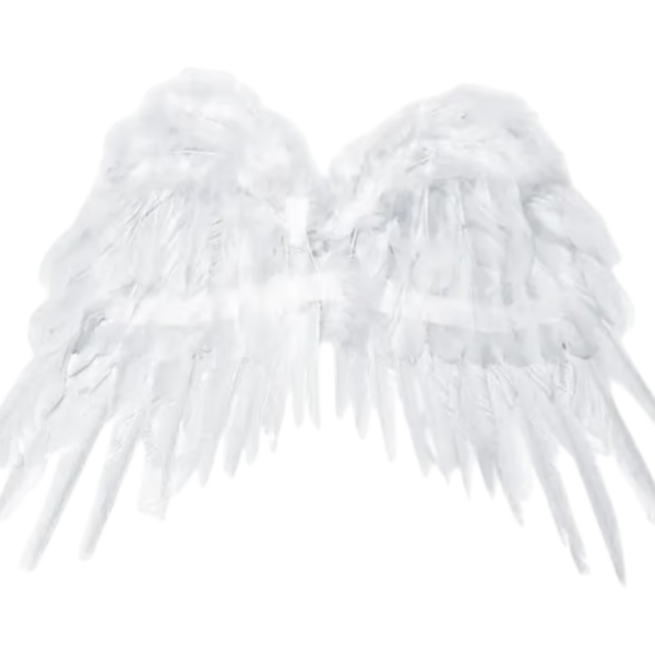 Angel Wings – White 👼✨