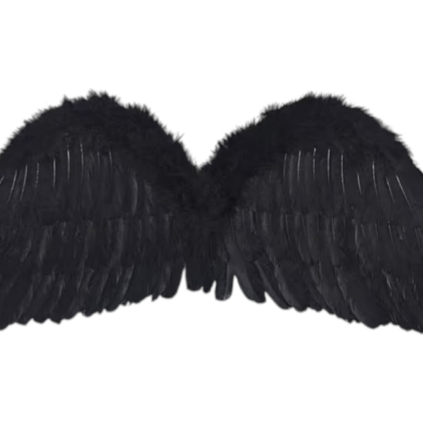 Angel Wings – Black 🖤🪽