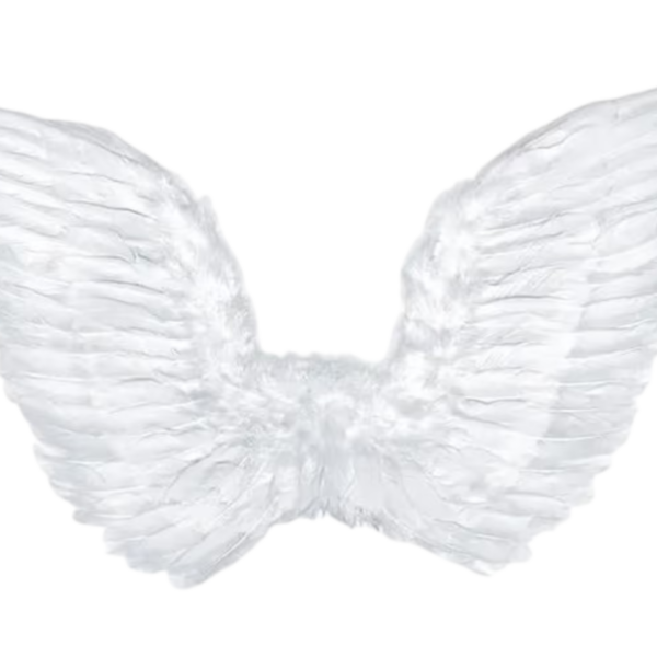 Angel Wings – White 👼✨