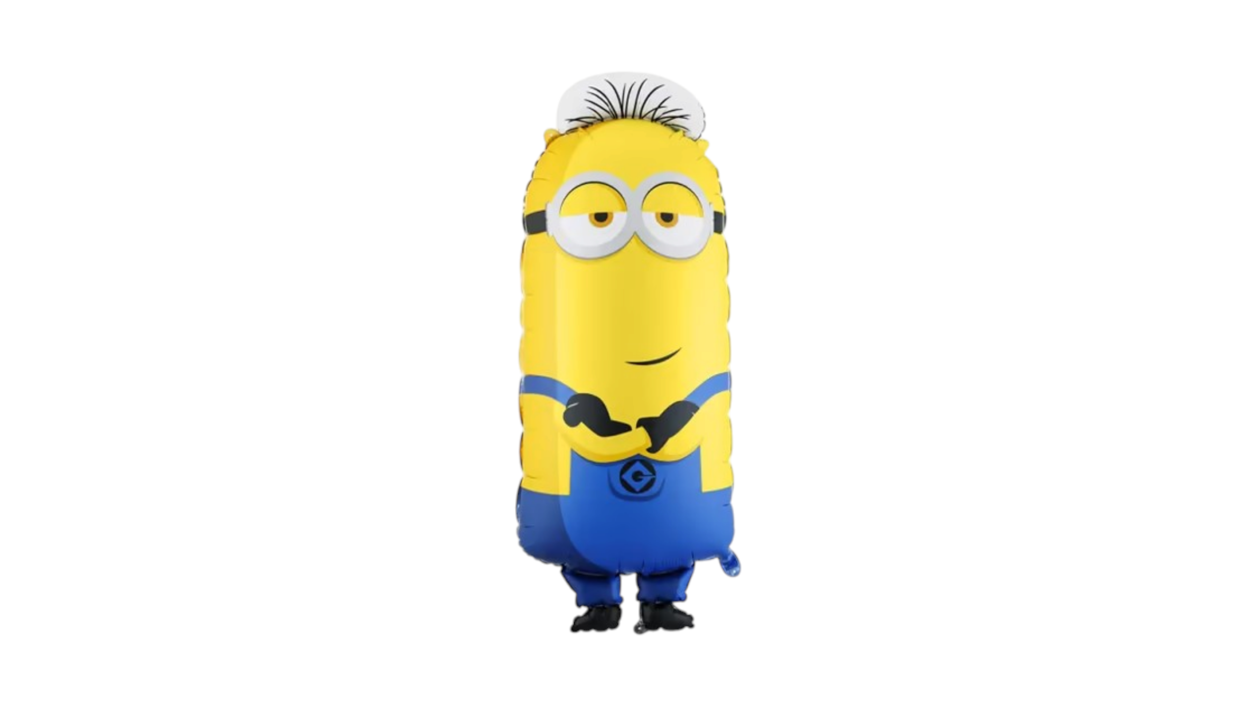 6a2a425bb738e9202d576548